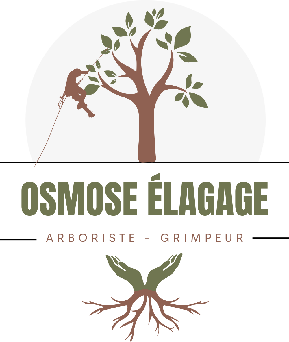 Osmose Élagage