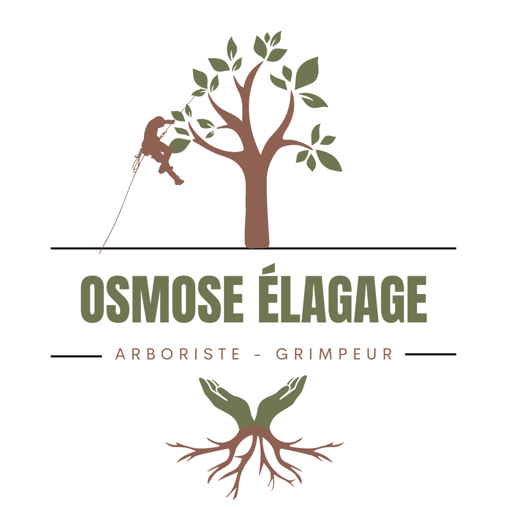 Logo-osmose-elagage-arboriste-grimpeur-arbre-soin